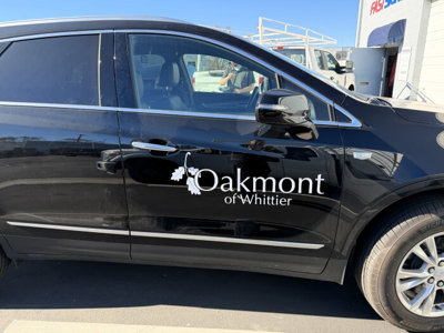 Vehicle Graphics Photo